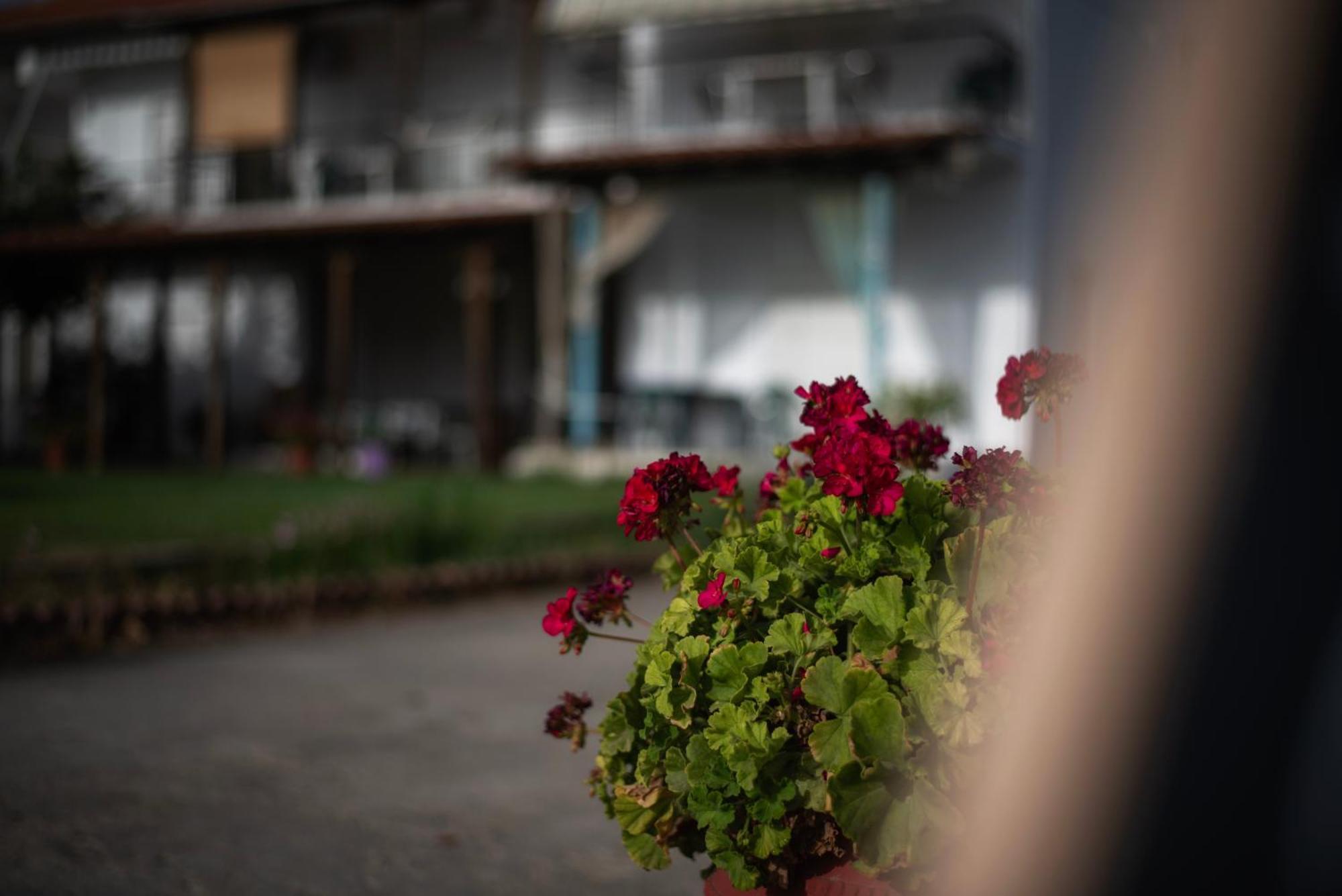 Marilena Apartments Anastasiou Velika  Extérieur photo